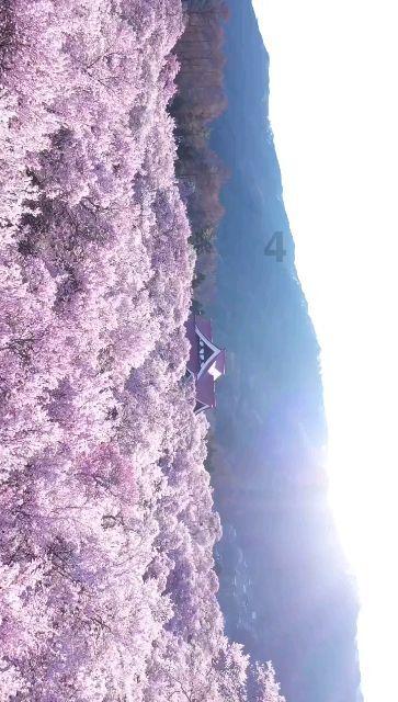 逃出上锁的现代房间3